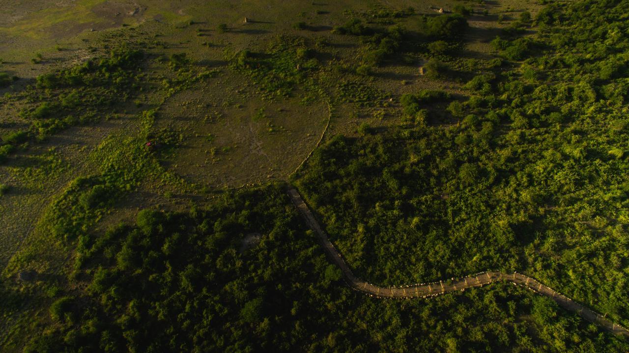 ZanzibarManyara Wildlife Safari Camp别墅 外观 照片